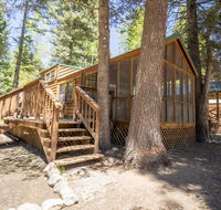 The Cottonwood Cabin 17