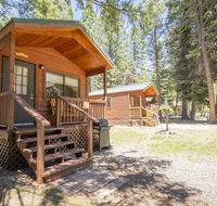 The Lupine Cabin 10