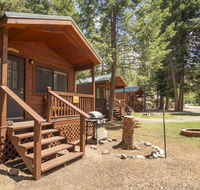 The Shooting Star Cabin 11