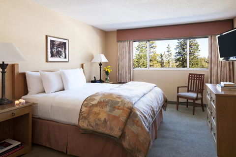 Mammoth Mountain Inn - Adwords Guide 18