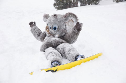 Mammoth Mountain Inn - Adwords Guide 3