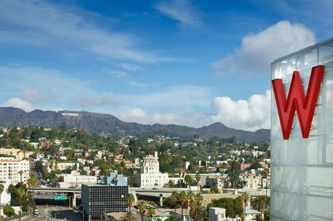 W Hollywood - Adwords Guide 5