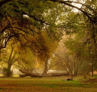 RanchHouse suite at Sycamore Springs