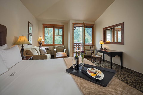 The Hotel Telluride - Adwords Guide 30