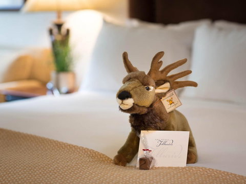 The Hotel Telluride - Adwords Guide 3