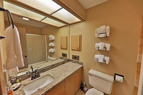 A11 Snowblaze Athletic Club Condo - Adwords Guide 20