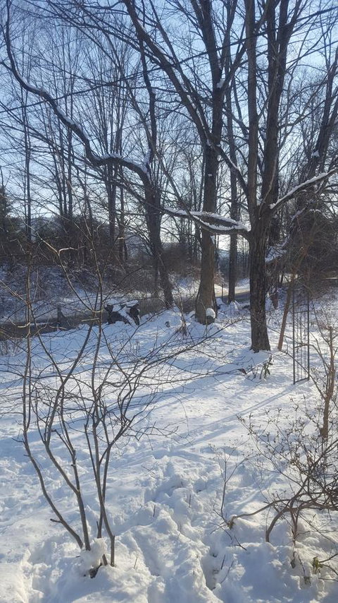 A Meadow House - Adwords Guide 29